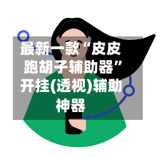 最新一款“皮皮跑胡子辅助器	”开挂(透视)辅助神器-第2张图片