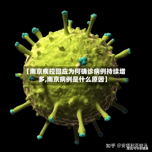 【南京疾控回应为何确诊病例持续增多,南京病例是什么原因】-第3张图片