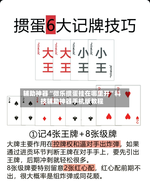 辅助神器“微乐掼蛋挂在哪里开”科技辅助神器手机版教程-第1张图片