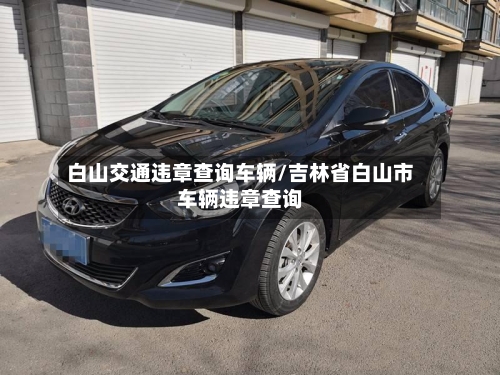 白山交通违章查询车辆/吉林省白山市车辆违章查询-第1张图片