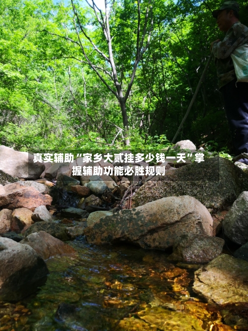 真实辅助“家乡大贰挂多少钱一天	”掌握辅助功能必胜规则-第2张图片