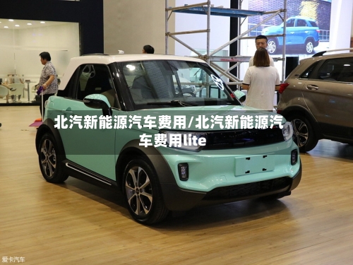 北汽新能源汽车费用/北汽新能源汽车费用lite-第3张图片