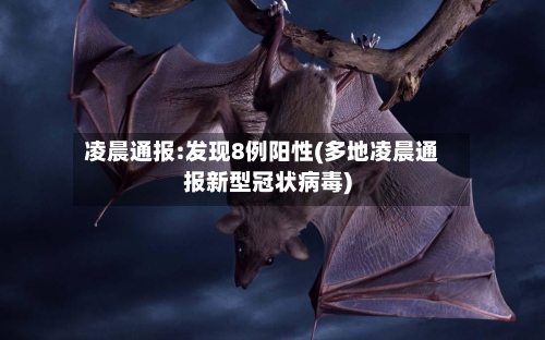 凌晨通报:发现8例阳性(多地凌晨通报新型冠状病毒)-第1张图片