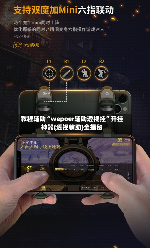 教程辅助“wepoer辅助透视挂”开挂神器{透视辅助}全揭秘-第3张图片