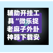 辅助开挂工具“微乐捉老麻子外卦神器下载安装”智能透视稳定辅助-第1张图片