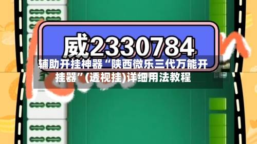 辅助开挂神器“陕西微乐三代万能开挂器”(透视挂)详细用法教程-第1张图片