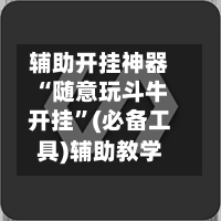 辅助开挂神器“随意玩斗牛开挂”(必备工具)辅助教学-第3张图片