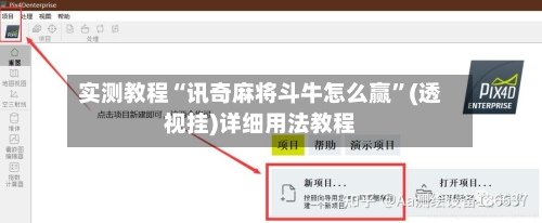 实测教程“讯奇麻将斗牛怎么赢”(透视挂)详细用法教程-第3张图片