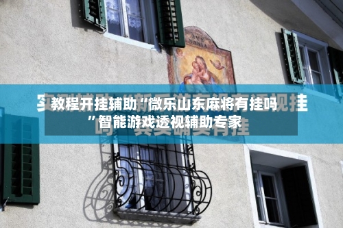 教程开挂辅助“微乐山东麻将有挂吗”智能游戏透视辅助专家-第3张图片