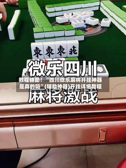 教程辅助！“四川微乐麻将开挂神器是真的吗	”(辅助神器)开挂详细教程-第1张图片