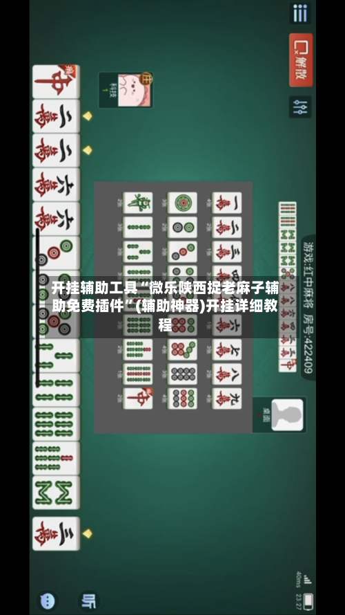 开挂辅助工具“微乐陕西捉老麻子辅助免费插件	”(辅助神器)开挂详细教程-第1张图片