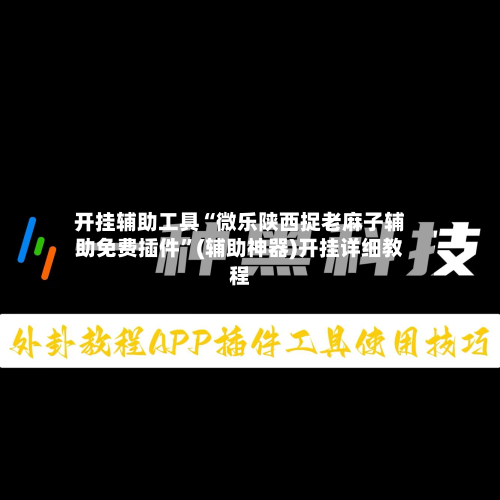 开挂辅助工具“微乐陕西捉老麻子辅助免费插件”(辅助神器)开挂详细教程-第2张图片