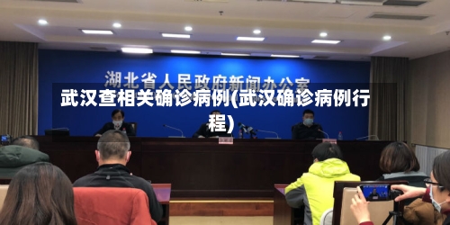 武汉查相关确诊病例(武汉确诊病例行程)-第2张图片