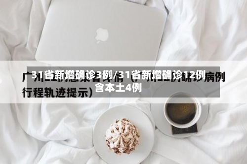 31省新增确诊3例/31省新增确诊12例含本土4例-第3张图片