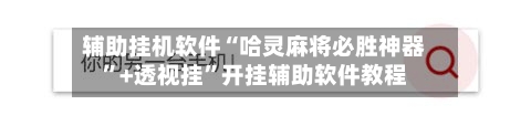 辅助挂机软件“哈灵麻将必胜神器	”+透视挂”开挂辅助软件教程-第2张图片