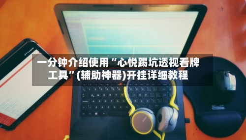 一分钟介绍使用“心悦踢坑透视看牌工具”(辅助神器)开挂详细教程-第2张图片