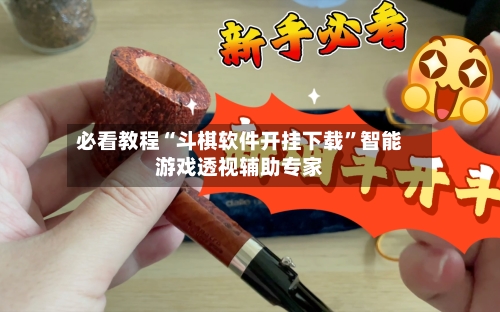 必看教程“斗棋软件开挂下载”智能游戏透视辅助专家-第3张图片