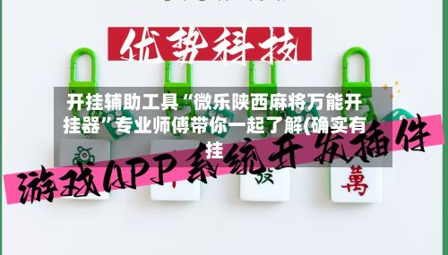 开挂辅助工具“微乐陕西麻将万能开挂器	”专业师傅带你一起了解(确实有挂-第2张图片