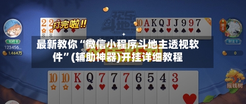 最新教你“微信小程序斗地主透视软件	”(辅助神器)开挂详细教程-第1张图片