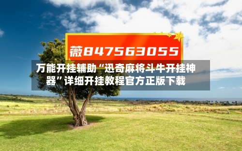 万能开挂辅助“迅奇麻将斗牛开挂神器	”详细开挂教程官方正版下载-第1张图片