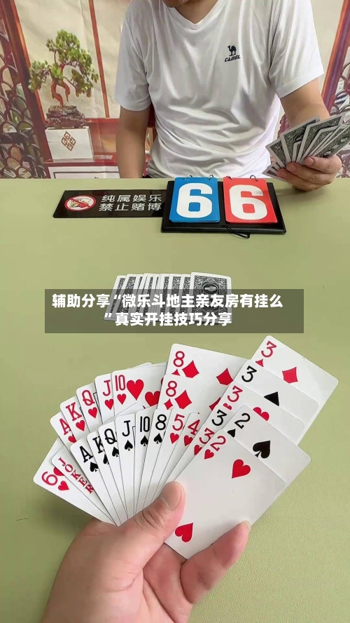 辅助分享“微乐斗地主亲友房有挂么”真实开挂技巧分享-第2张图片