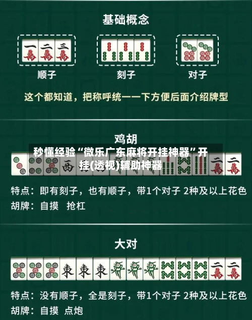 秒懂经验“微乐广东麻将开挂神器”开挂(透视)辅助神器-第2张图片