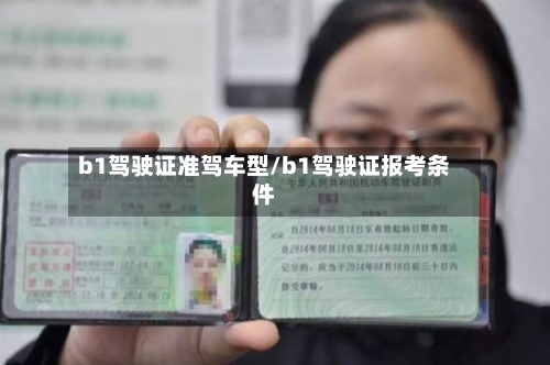 b1驾驶证准驾车型/b1驾驶证报考条件-第2张图片