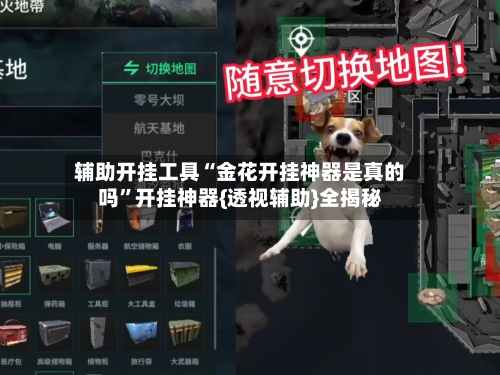 辅助开挂工具“金花开挂神器是真的吗”开挂神器{透视辅助}全揭秘-第3张图片