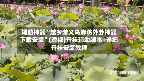 辅助神器“越乡游义乌麻将外卦神器下载安装”(透视)开挂辅助脚本+详细开挂安装教程-第1张图片
