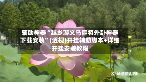 辅助神器“越乡游义乌麻将外卦神器下载安装”(透视)开挂辅助脚本+详细开挂安装教程-第2张图片