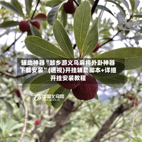 辅助神器“越乡游义乌麻将外卦神器下载安装	”(透视)开挂辅助脚本+详细开挂安装教程-第3张图片
