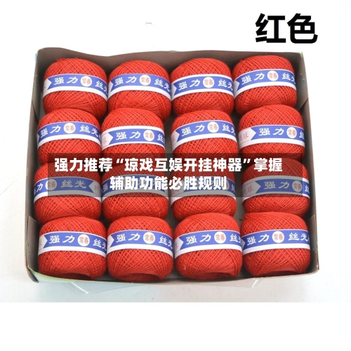 强力推荐“琼戏互娱开挂神器”掌握辅助功能必胜规则-第1张图片