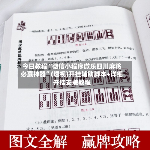 今日教程“微信小程序微乐四川麻将必赢神器”(透视)开挂辅助脚本+详细开挂安装教程-第3张图片