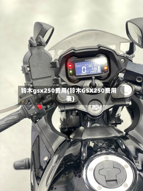 铃木gsx250费用(铃木GSX250费用表)-第3张图片