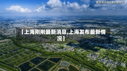 【上海刚刚最新消息,上海发布最新情况】-第2张图片