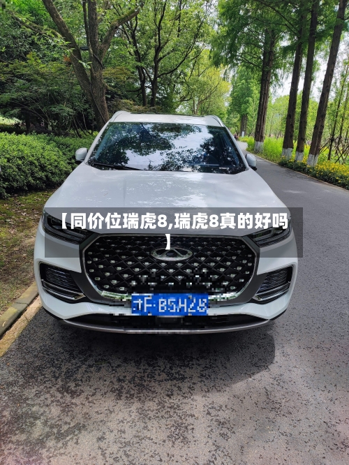 【同价位瑞虎8,瑞虎8真的好吗】-第2张图片