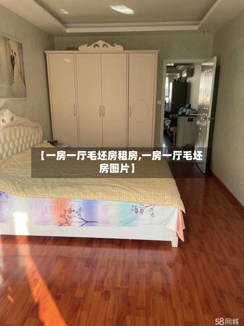 【一房一厅毛坯房租房,一房一厅毛坯房图片】-第1张图片