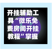 开挂辅助工具“微乐免费房间开挂教程”掌握辅助功能必胜规则-第2张图片