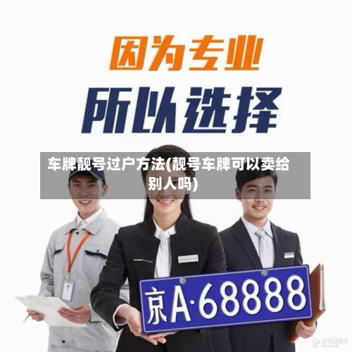 车牌靓号过户方法(靓号车牌可以卖给别人吗)-第3张图片