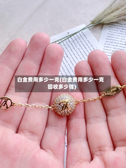 白金费用多少一克(白金费用多少一克回收多少钱)-第2张图片