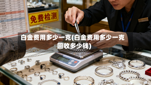白金费用多少一克(白金费用多少一克回收多少钱)-第1张图片