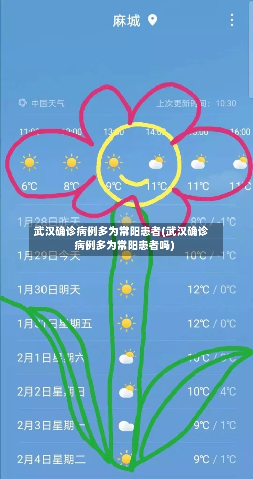 武汉确诊病例多为常阳患者(武汉确诊病例多为常阳患者吗)-第3张图片