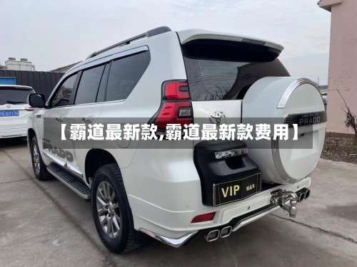 【霸道最新款,霸道最新款费用】-第2张图片