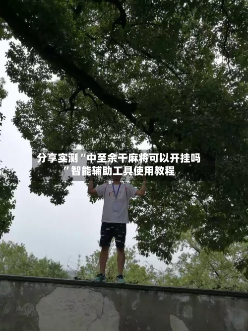 分享实测“中至余干麻将可以开挂吗	”智能辅助工具使用教程-第2张图片