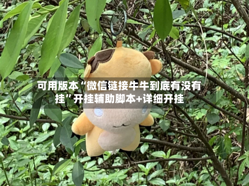 可用版本“微信链接牛牛到底有没有挂”开挂辅助脚本+详细开挂-第3张图片