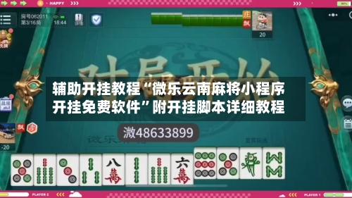辅助开挂教程“微乐云南麻将小程序开挂免费软件”附开挂脚本详细教程-第3张图片