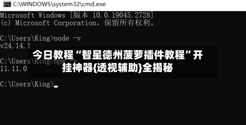 今日教程“智星德州菠萝插件教程	”开挂神器{透视辅助}全揭秘-第3张图片