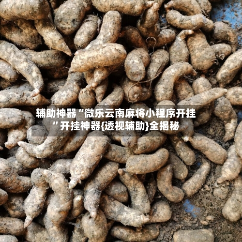 辅助神器“微乐云南麻将小程序开挂	”开挂神器{透视辅助}全揭秘-第3张图片