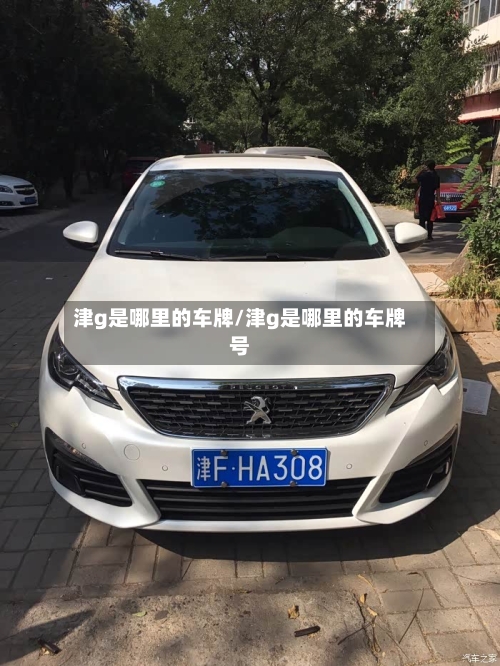 津g是哪里的车牌/津g是哪里的车牌号-第1张图片