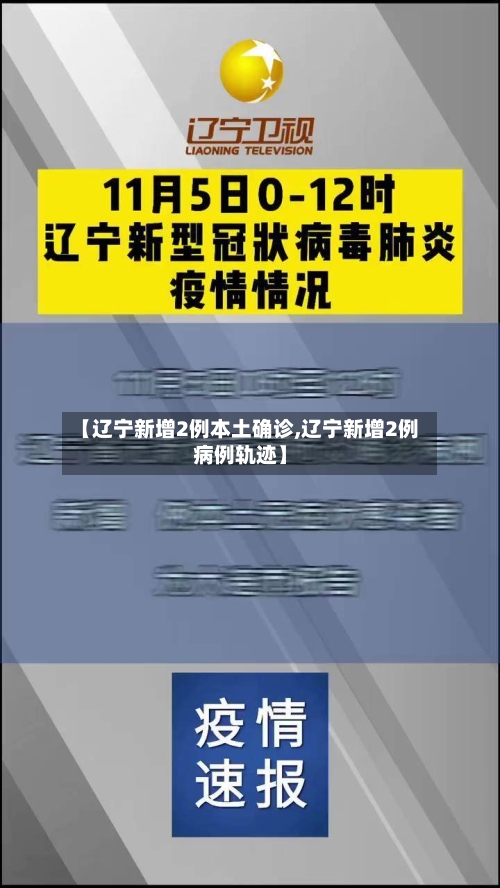 【辽宁新增2例本土确诊,辽宁新增2例病例轨迹】-第1张图片